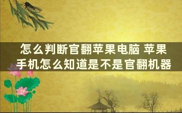 怎么判断官翻苹果电脑 苹果手机怎么知道是不是官翻机器